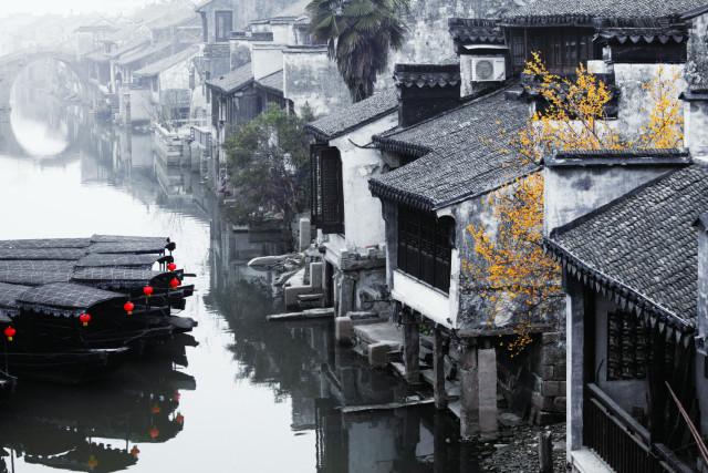我得了偏执型精神分裂症怎么办